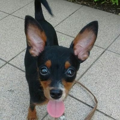 AnaLuciaMer1's profile picture. Não tenho tudo que quero.Mas quero tudo que tenho☺