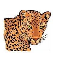 Lincroft School PTA (@lincroft_pta) 's Twitter Profile