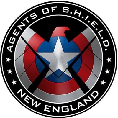 A costumed charity organization centered around the elite agents of Marvel's SHIELD organization.