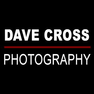 DaveCrossPhoto's profile picture. Trusted by brides for more than a decade, Dave Cross Photography is a premiere NYC photo studio. Wedding Photography:
http://t.co/QMvDMw4hBh