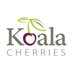 Koala Cherries (@koalacherries) Twitter profile photo Koala Cherries (@koalacherries) Twitter profile photo