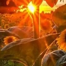 sex_ximeanal's profile picture. 