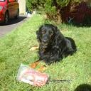 Pat Cogan - @patcogan - Twitter