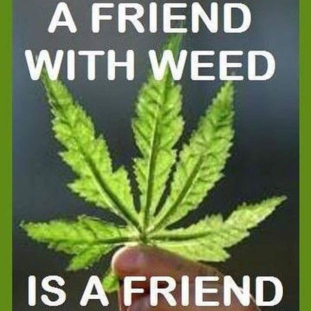 minecraftdude37's profile picture. just a normal guy looking for some normal friends