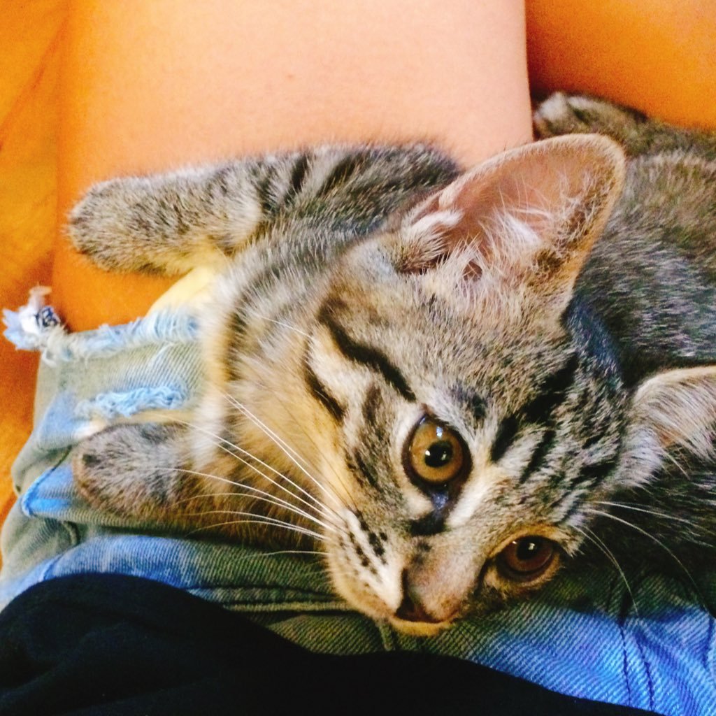 goriiyahon's profile picture. 