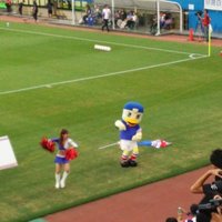 roy tricolore (@tricolore501) Twitter profile photo