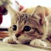 みなか🐈⬛ (@tntr3) Twitter profile photo みなか🐈⬛ (@tntr3) Twitter profile photo