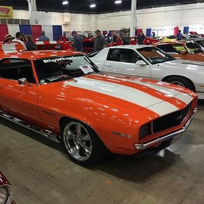 fance_wmsd's profile picture. 