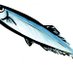 @sashimi_nigiri7