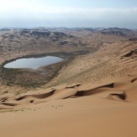 الشاعر فيصل العبيد (@faisalal3baid) 's Twitter Profile Photo الشاعر فيصل العبيد (@faisalal3baid) 's Twitter Profile Photo
