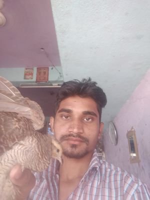 s58240217's profile picture. 