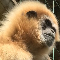 Helen Chatterjee (@h_chatterjee) 's Twitter Profile Photo Helen Chatterjee (@h_chatterjee) 's Twitter Profile Photo