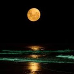 matheusscstore's profile picture. 