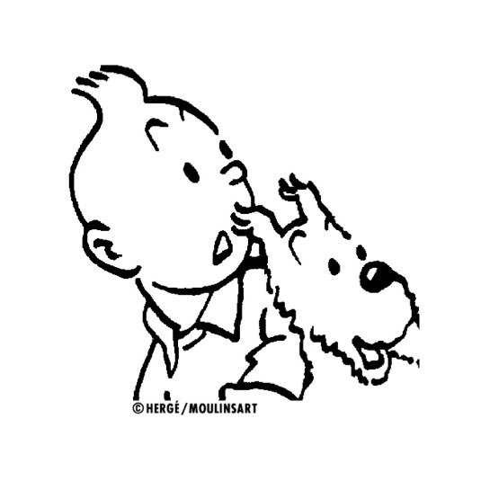 TINTIN JAPAN（公式）さんのプロフィール画像