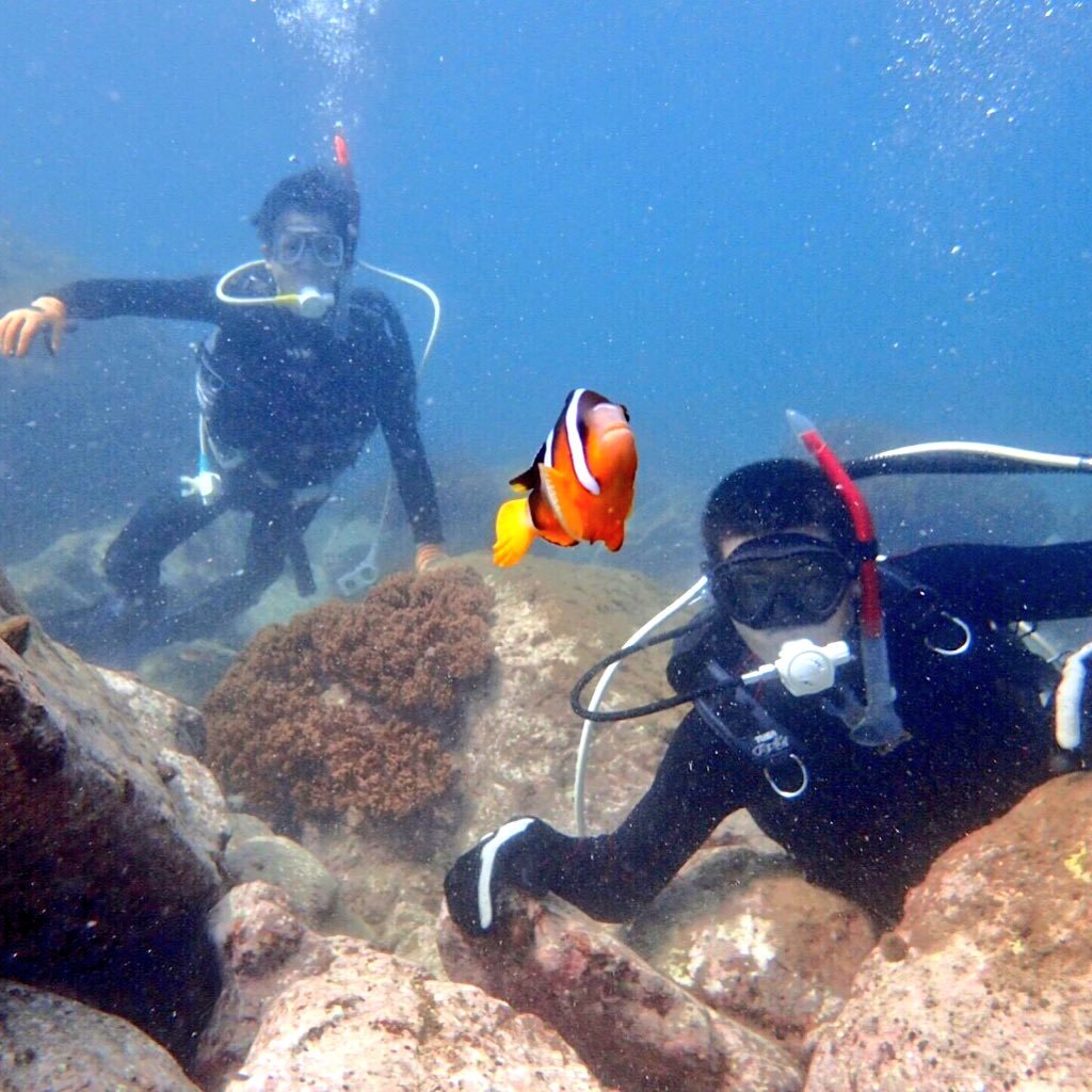 Bz0328Hime's profile picture. 熊本県 大津町 現在熊本市