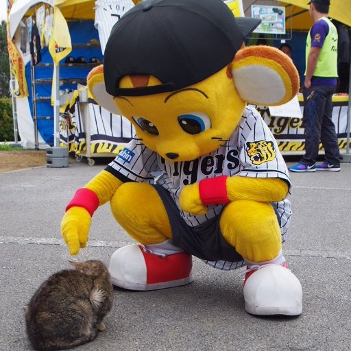 野球はタイガースファン! いつも穏やかなおじさんです。阪神の事になると子供になります(笑)。 特に朝と夜につぶやいてます。 皆さん、宜しくお願いします。