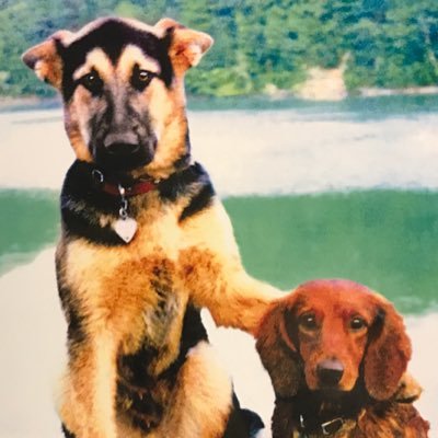 dustinleggans's profile picture. Sailor. Diver. CTOer.