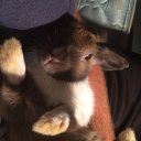 Paul Broadwater - @PaulBroadwater4 - Twitter