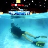 BeADiver (@beadiver) 's Twitter Profile