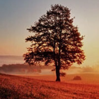 Yasinsadece's profile picture. 