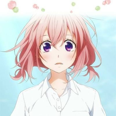 枝耳さんのプロフィール画像