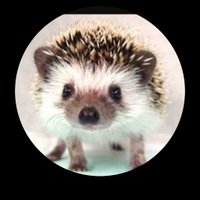 ใใฃใใ๐น๐ ๐ฉท ๐ฟ ๐๐๐ค (@askjr_1) 's Twitter Profile