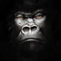 gorillaslaps (@gorillaslaps) 's Twitter Profile