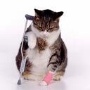 jeanie ward - @jeanie101 - Twitter