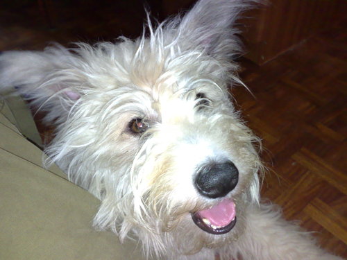 Patnique's profile picture. 