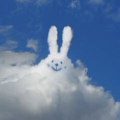 最新やオススメの物は「いいね」に入いっています🍀コツコツ型な人に向いているポイントアプリ/サイトを中心にツイート中☆(о´∀`о)☆ 騙し、危なそうな案件は即排除!賢くお小遣いを稼ごう💖