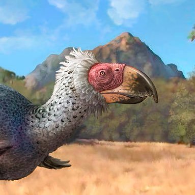 Extinct Animals 🦣🦤 (@Extinct_AnimaIs) / Twitter Extinct Animals 🦣🦤 (@Extinct_AnimaIs) / Twitter
