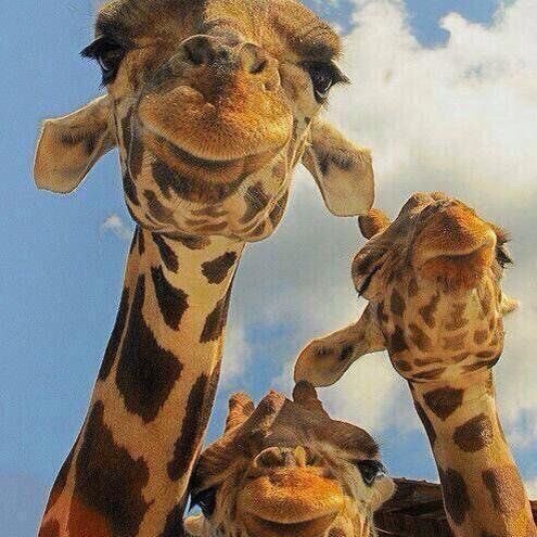 decerno's profile picture. Is your Mind Full, or are you Mindful?