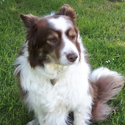 RickyWhite83's profile picture. 