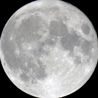 moonreminder Profile Picture