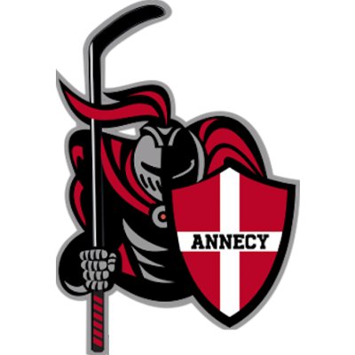 Le Annecy-Hockey est affilié à la Fédération Française de Hockey sur glace. Les équipes seniors évoluent en championnats de 🇫🇷 de D2 et de D3.