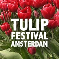 Welovetulips(@we_love_tulips) 's Twitter Profile Photo