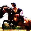 Kat Casey - @TheRealKatCasey - Twitter