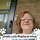 Lydia  Jean shinabar - @LydiaShinabar - Twitter