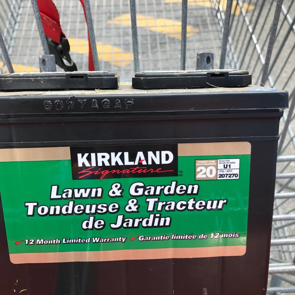 LuisFie09005929's profile picture. 