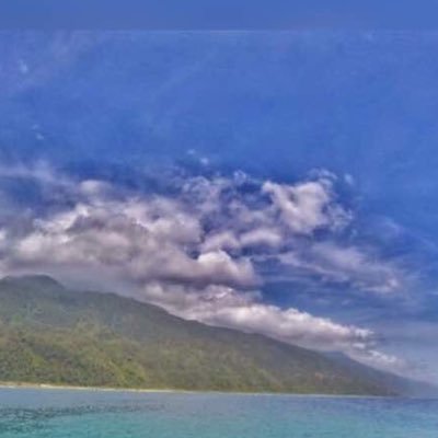 reyafb's profile picture. 