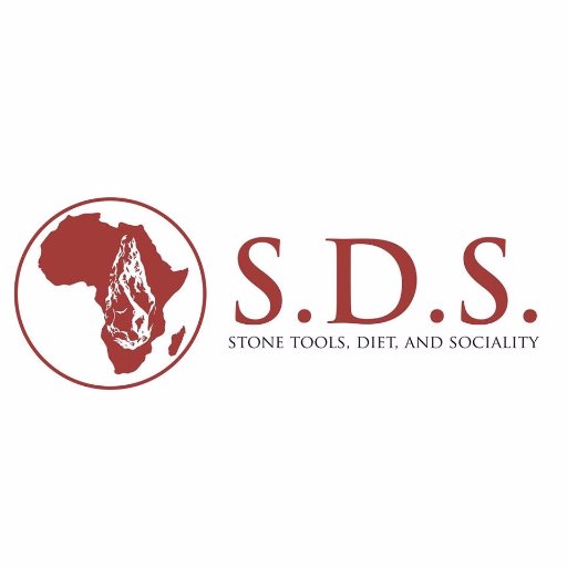 Olduvai Gorge: SDS Profile