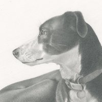 jenkirby (@jenkirby) 's Twitter Profile