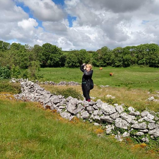 Assistant Prof. of Digital Environmental History @TowsonU Medieval & early modern environment, material culture, digital heritage. She/her.