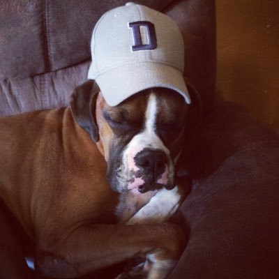 jcassel24's profile picture. Full time dad, aspiring chef, and a face made for radio. #ku #nyy #24chevrolet #teamfamilyfirst