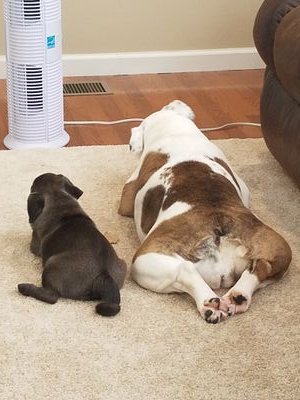 motherofpig3's profile picture. Just here to stay updated on relevant shit, since this is apparently where the news comes from now.