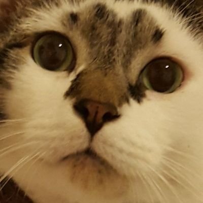 krusty_burns's profile picture. Assistant Manager at Burger King /
Recovered Diabetic Poose /
Shania Twain's #1 fan