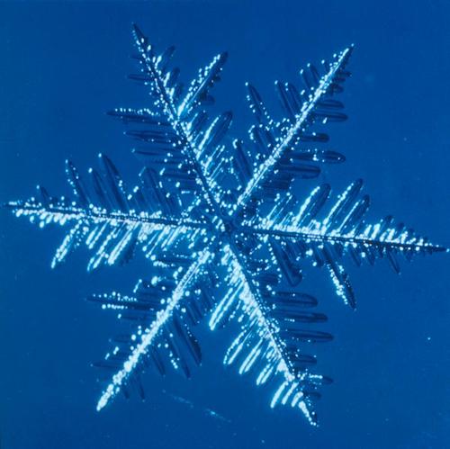 ezzar's profile picture. 