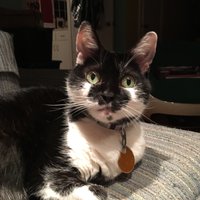 Jamie McLendon (@jmcl) 's Twitter Profile