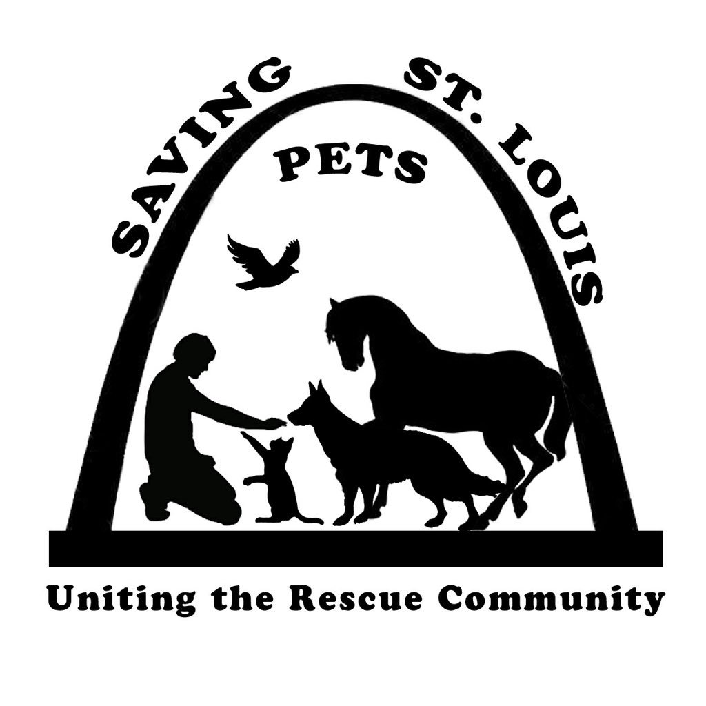 Saving St. Louis Pets is a 501c3 Nonprofit who provide assistance for strays and family pets. Think globally-rescue locally and beyond.
