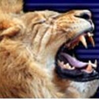 Kansascity Eastlions (@kceastlions) 's Twitter Profile